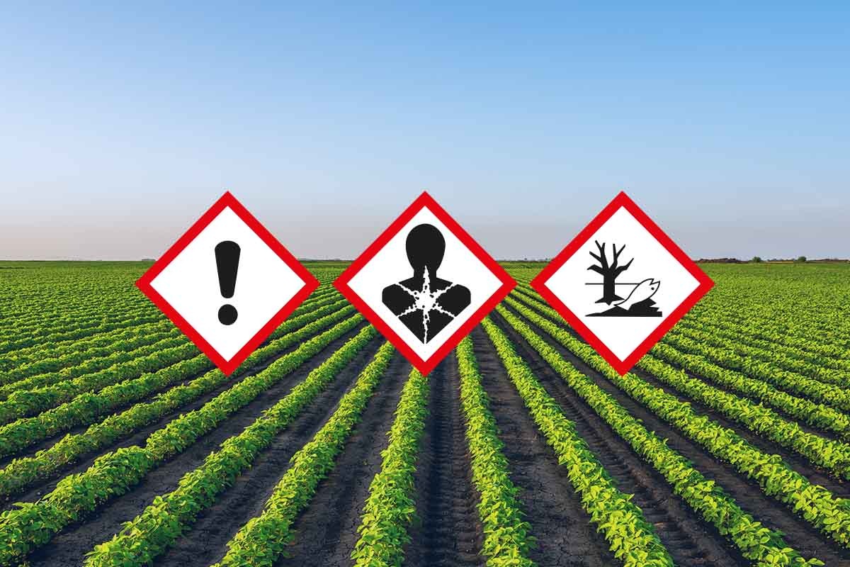 Etiquetas para Productos Fitosanitarios: Cómo Elegir la Mejor Opción para tu Empresa
